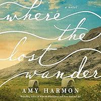 Algopix Similar Product 18 - Where the Lost Wander: A Novel