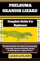 Algopix Similar Product 7 - PHELSUMA GRANDIS LIZARD Complete Guide