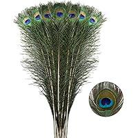 Algopix Similar Product 1 - Larryhot Long Peacock Feathers Bulk 