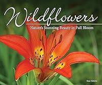 Algopix Similar Product 8 - Wildflowers Natures Stunning Beauty