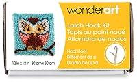 Algopix Similar Product 14 - Wonderart Hoot Latch Hook Kit, 12" X 12"