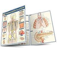 Algopix Similar Product 1 - Endocrine System (Quick Study Academic)
