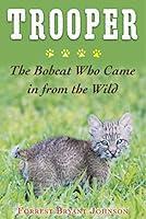 Algopix Similar Product 8 - Trooper The Bobcat Who Came in from