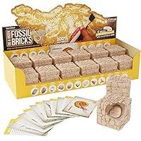 Algopix Similar Product 20 - Dig a Dozen Fossil Bricks  Break Open