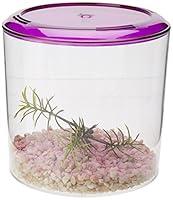 Algopix Similar Product 3 - Lee's Round Betta Keeper