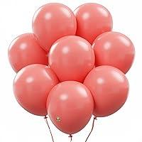 Algopix Similar Product 17 - AFTERLOON Biodegradable Balloons 100