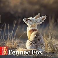 Algopix Similar Product 5 - Fennec Fox Calendar 2025 365 Days of