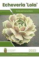 Algopix Similar Product 10 - Echeveria Lola Succulent Handbook