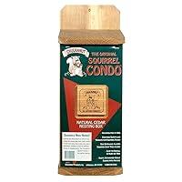 Algopix Similar Product 15 - Chuckanut Squirrel Condo
