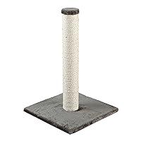 Algopix Similar Product 18 - TRIXIE Parla Scratching Post Durable