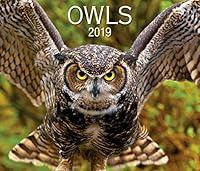 Algopix Similar Product 20 - Owls 2019