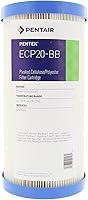 Algopix Similar Product 4 - Pentair Pentek ECP20BB Big Blue