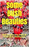 Algopix Similar Product 11 - Some Bush Beauties How to Grow the