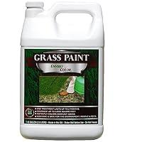 Algopix Similar Product 10 - EnviroColor 4EverGreen Grass and Turf