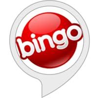 Algopix Similar Product 16 - The Bingo Caller