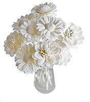Algopix Similar Product 9 - 10 Mix Dahlia Daisy Sola Flower Reed