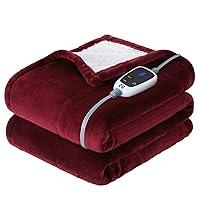 Algopix Similar Product 10 - SEALY Heated Throw Blanket Flannel 