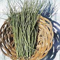 Algopix Similar Product 14 - Chives Green Seeds  Herb Seeds Package