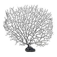 Algopix Similar Product 10 - SciencePurchase 105 Black Fish Tank