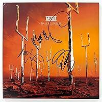 Algopix Similar Product 13 - Muse Full Band Complete x3 Signed