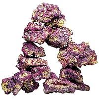 Algopix Similar Product 13 - Caribsea Life Rock, 40-Pound