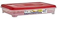 Algopix Similar Product 13 - Buddeez Inc 17604R7427BAG Egg Keeper