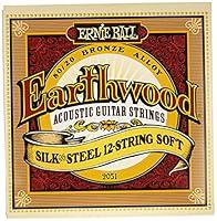 Algopix Similar Product 14 - Ernie Ball Earthwood Silk and Steel