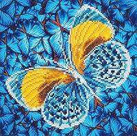 Algopix Similar Product 3 - DIAMOND DOTZ Flutter by Gold Diamond