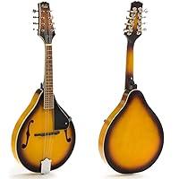 Algopix Similar Product 15 - Hola Music A Style Mandolin Instrument