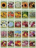 Algopix Similar Product 4 - 25 Slightly Assorted Flower Seed