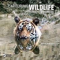 Algopix Similar Product 2 - CAPTURING WILDLIFE MOMENTS IN INDIA