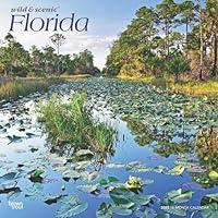 Algopix Similar Product 1 - Florida Wild  Scenic 2025 12 X 24 Inch