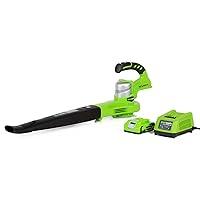 Algopix Similar Product 7 - Greenworks 24V Sweeper 20Ah Battery