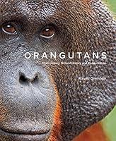 Algopix Similar Product 2 - Orangutans Their History Natural