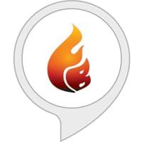 Algopix Similar Product 8 - Flame Boss