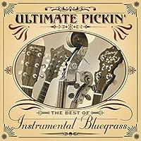Algopix Similar Product 13 - Ultimate Pickin The Best of