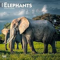 Algopix Similar Product 1 - Elephants  2024 12 x 24 Inch Monthly