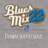 Algopix Similar Product 19 - Blues Mix, Vol. 22: Down South Soul