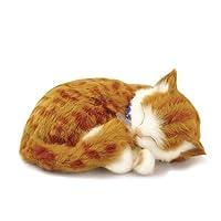Algopix Similar Product 11 - 88 Unlimited Orange Tabby
