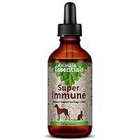 Algopix Similar Product 16 - Animal Essentials Super Immune Support