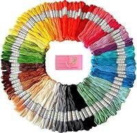 Algopix Similar Product 7 - Premium Rainbow Color Embroidery Floss