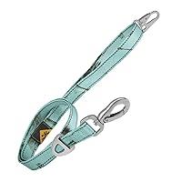 Algopix Similar Product 18 - Browning Classic Dog Leash RT Xtra
