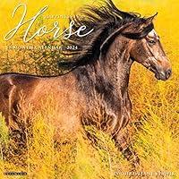 Algopix Similar Product 19 - Happiness is a Horse 2024 12 x 12