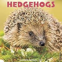 Algopix Similar Product 18 - Hedgehogs 2020 Wall Calendar