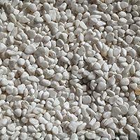 Algopix Similar Product 13 - Exotic 100532853 20 lb Bean Pebbles