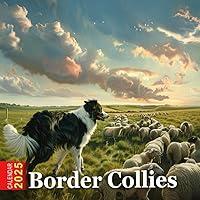 Algopix Similar Product 14 - Border Collies Calendar 2025 365 Days