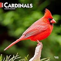 Algopix Similar Product 17 - Cardinals  2024 12 x 24 Inch Monthly