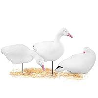 Algopix Similar Product 2 - Heerweiyi Snow Goose Decoys Pack of 6