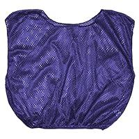 Algopix Similar Product 9 - Champion Sports Youth Mesh Practice