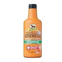 Algopix Similar Product 20 - Absorbine Veterinary Liniment Liquid